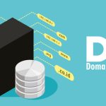 Domain Name Server